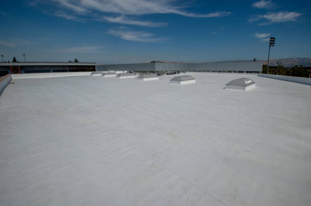 Best Roof Leak Repair  in Camp Point, IL