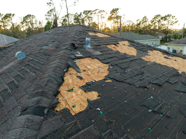 Best Slate Roofing  in Camp Point, IL