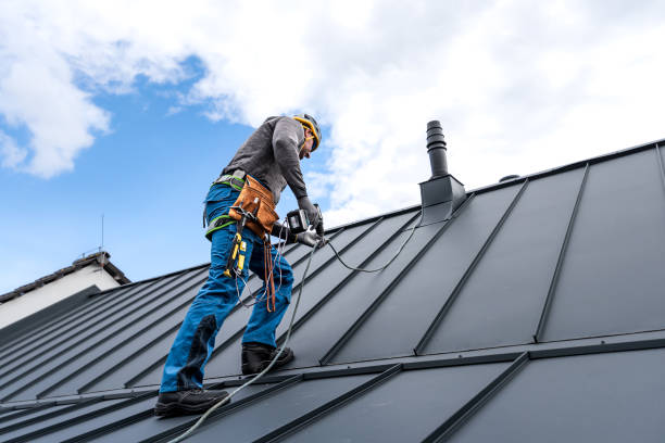 Best Metal Roofing Installation  in Camp Point, IL